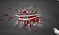 شهادت امام جواد الائمه (ع) تسلیت باد